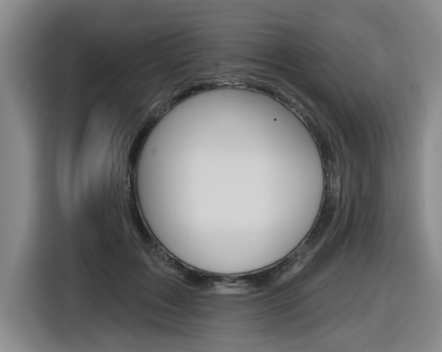 X0000116570603200912101005