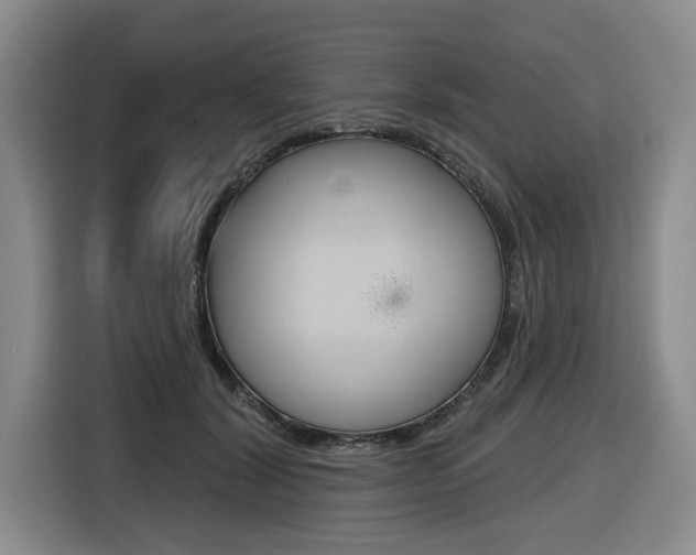 X0000116570604200912101005