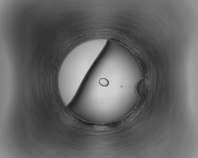 X0000116570605200912101005