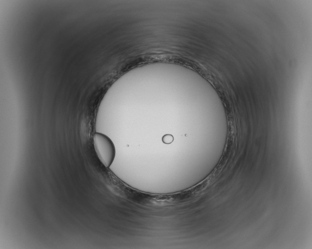 X0000116570606200912101005