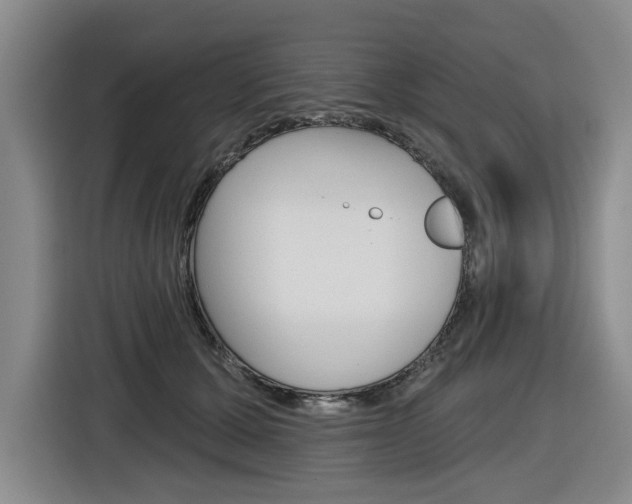 X0000116570607200912101005