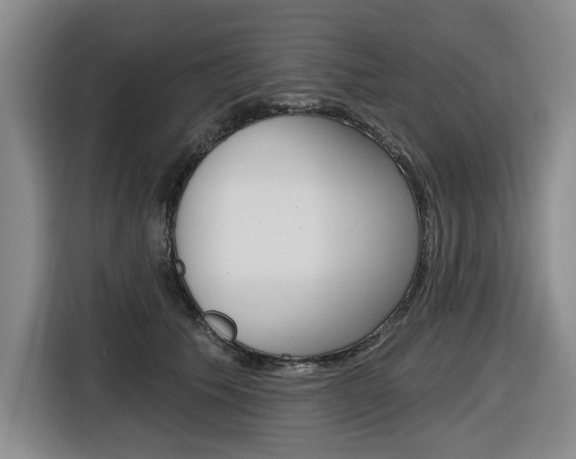 X0000116570609200912101005