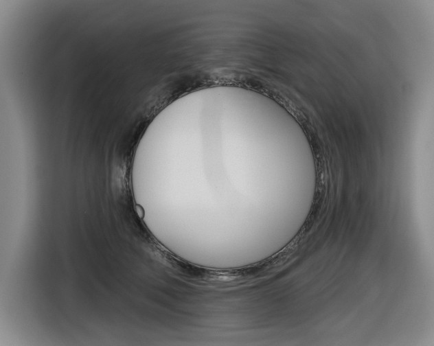 X0000116570610200912101005