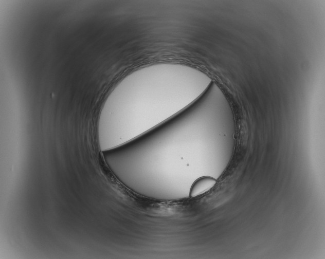 X0000116570612200912101005