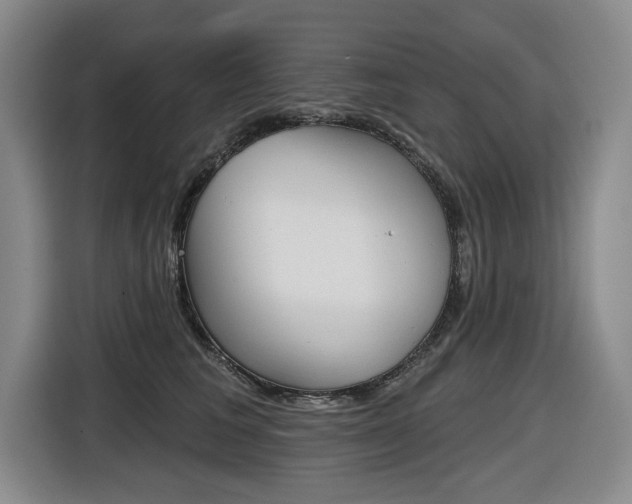 X0000116570613200912101005