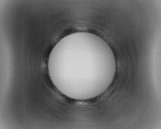 X0000116570614200912101005