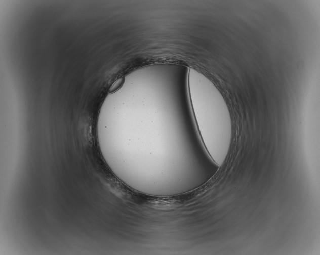 X0000116570615200912101005