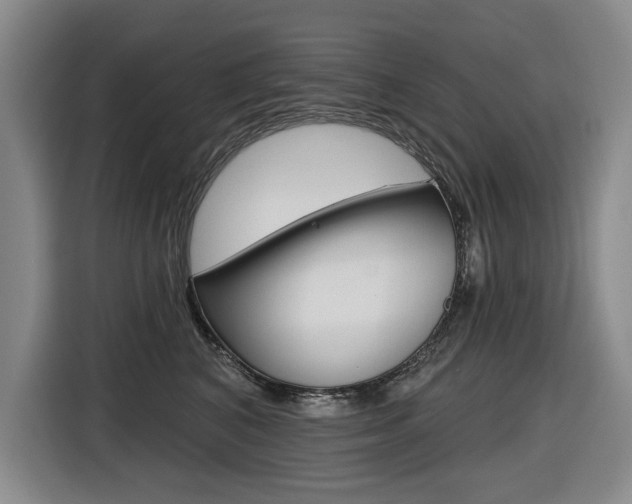 X0000116570616200912101005