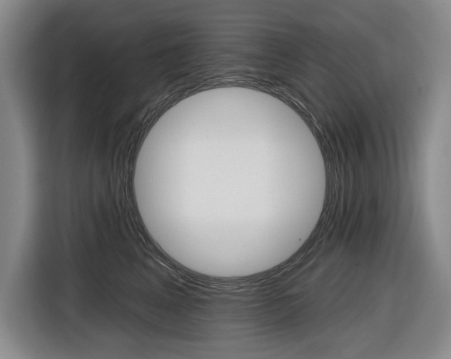 X0000116570617200912101005