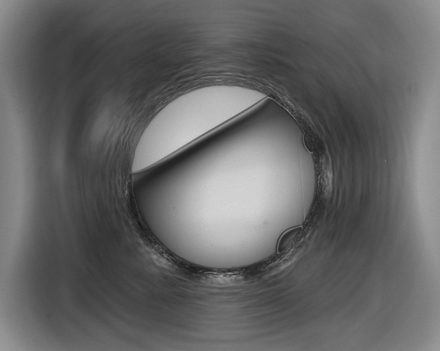 X0000116570619200912101005