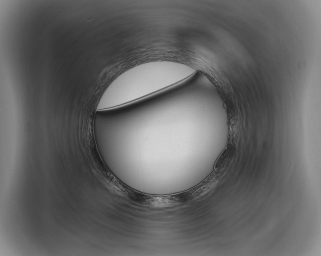 X0000116570623200912101004