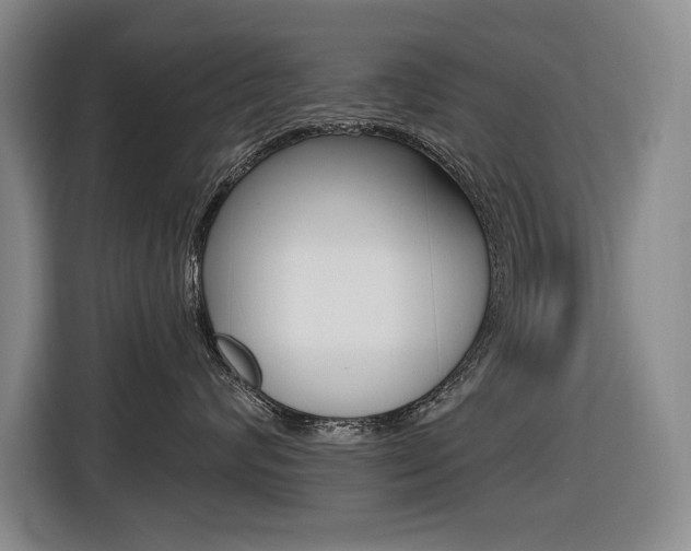 X0000116570624200912101004