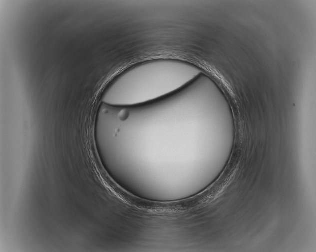 X0000116570625200912101004