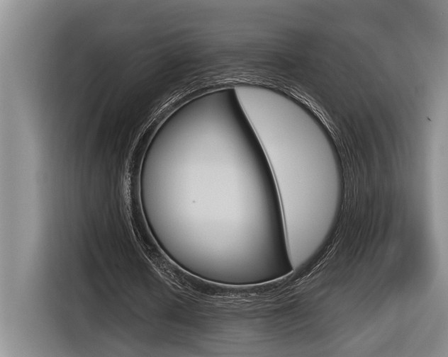 X0000116570626200912101004