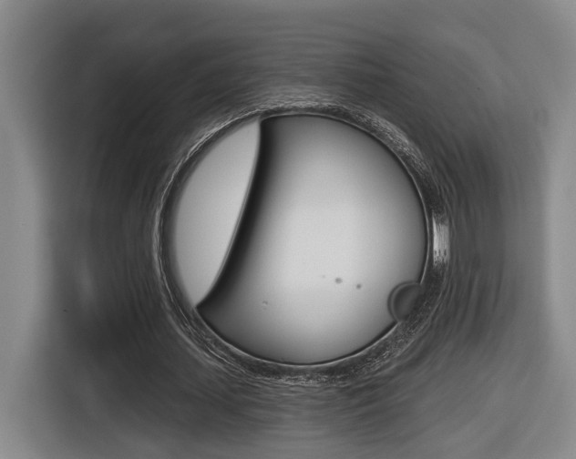 X0000116570627200912101004