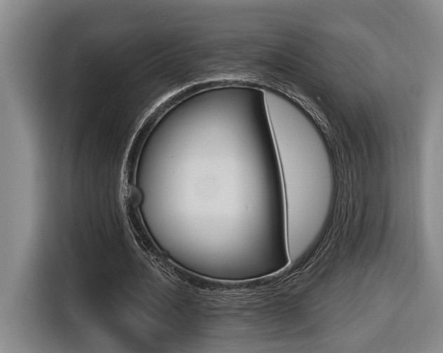 X0000116570628200912101004