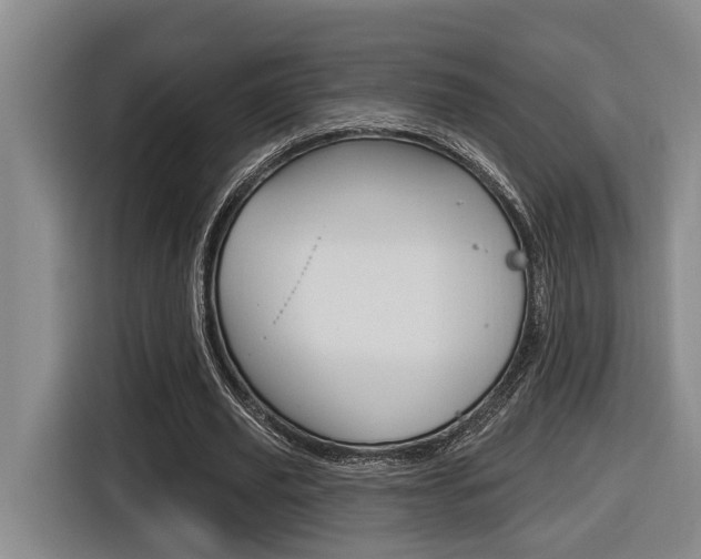 X0000116570629200912101004