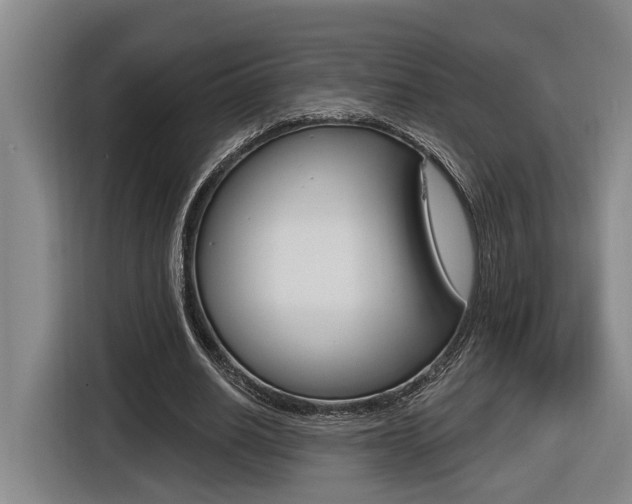 X0000116570630200912101004