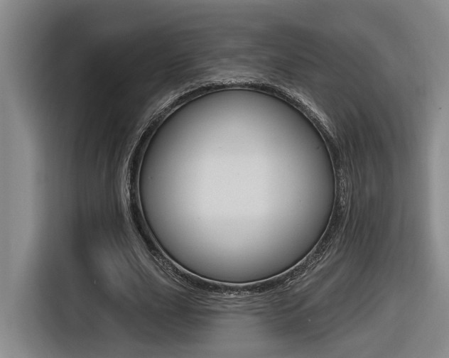 X0000116570631200912101004