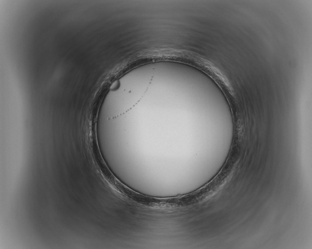 X0000116570633200912101004