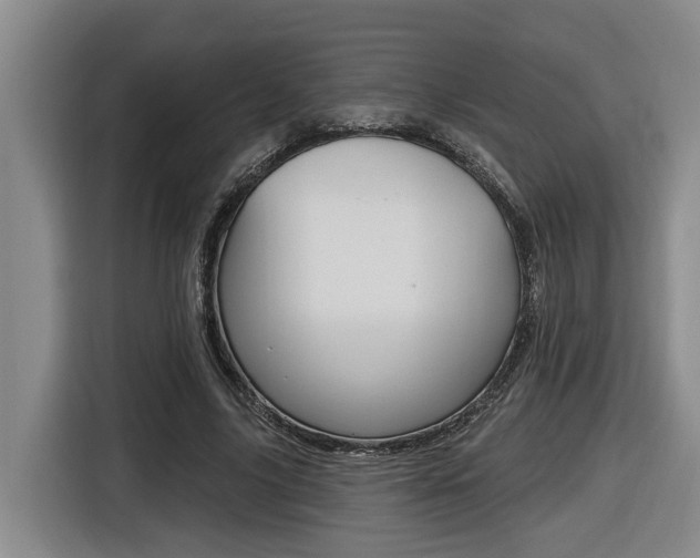 X0000116570635200912101004