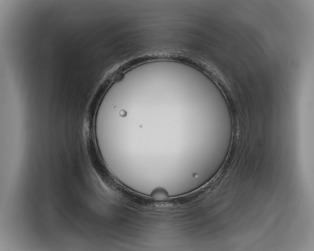 X0000116570636200912101004