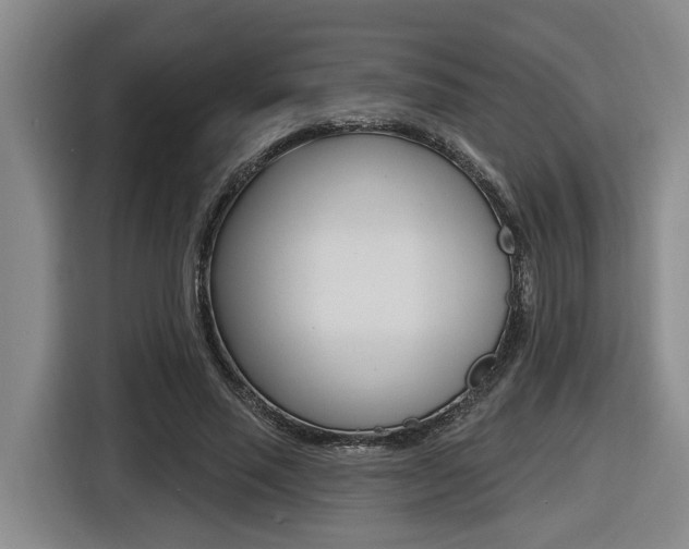 X0000116570637200912101004