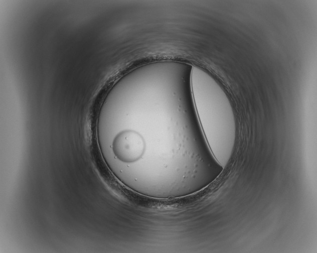 X0000116570638200912101004