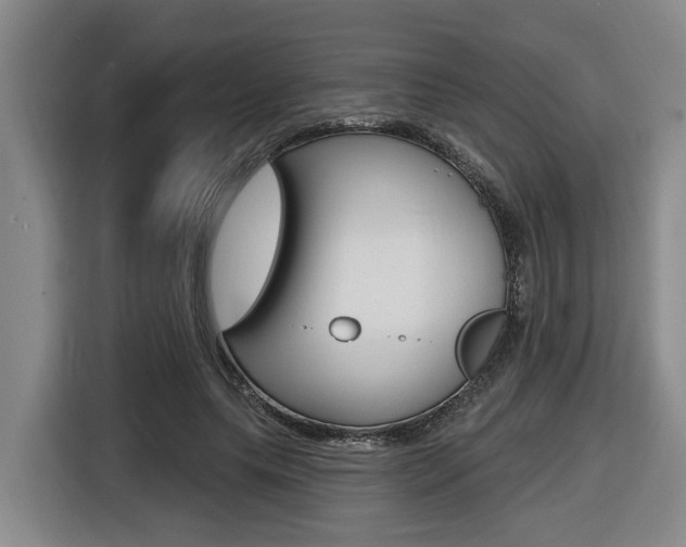 X0000116570639200912101004