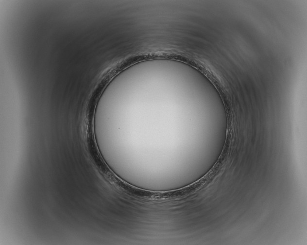 X0000116570640200912101004