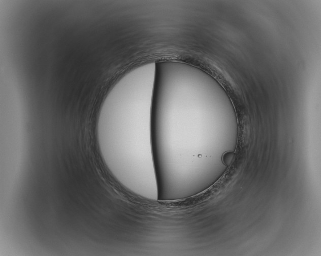 X0000116570641200912101004