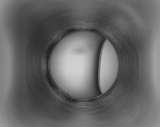 X0000116570642200912101004