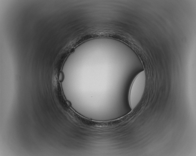 X0000116570644200912101004