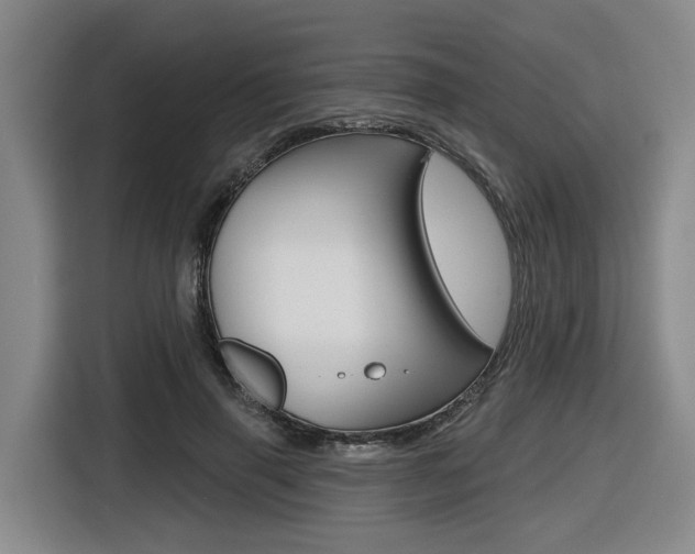 X0000116570645200912101004