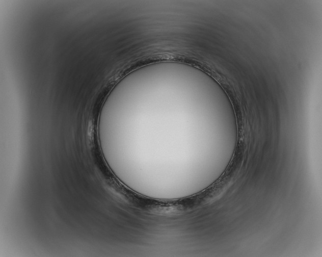 X0000116570646200912101004