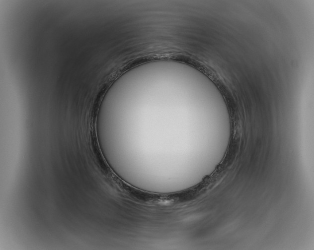 X0000116570647200912101004