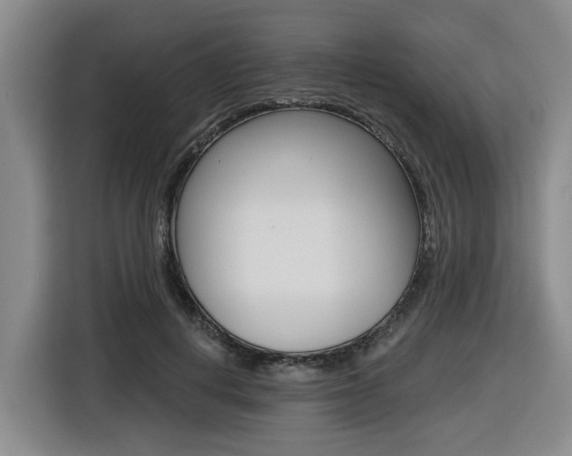 X0000116570648200912101004