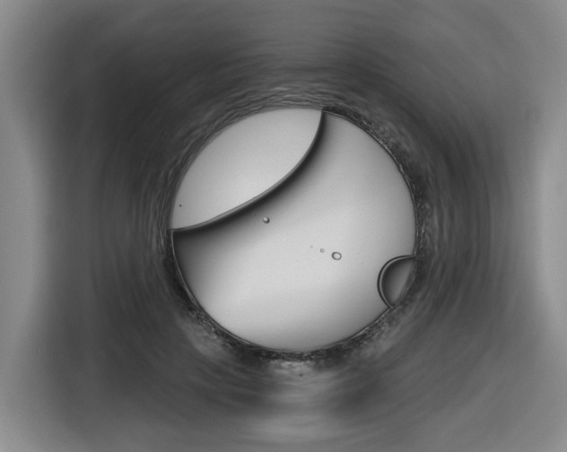 X0000116570649200912101004