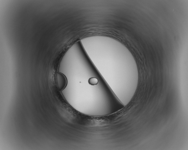 X0000116570650200912101004