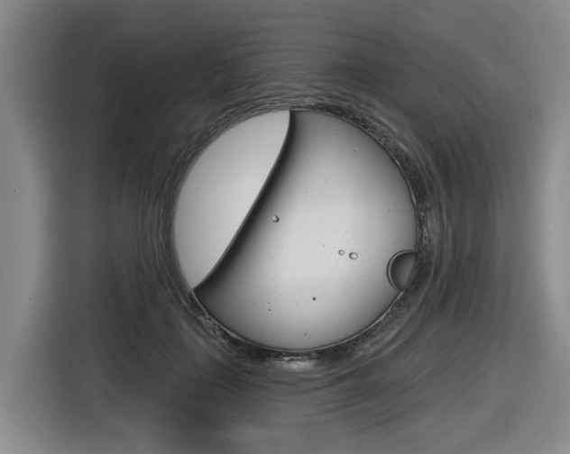 X0000116570651200912101004