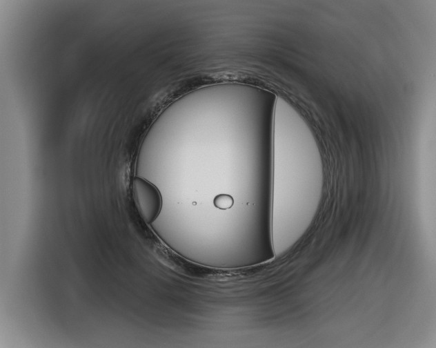 X0000116570652200912101004