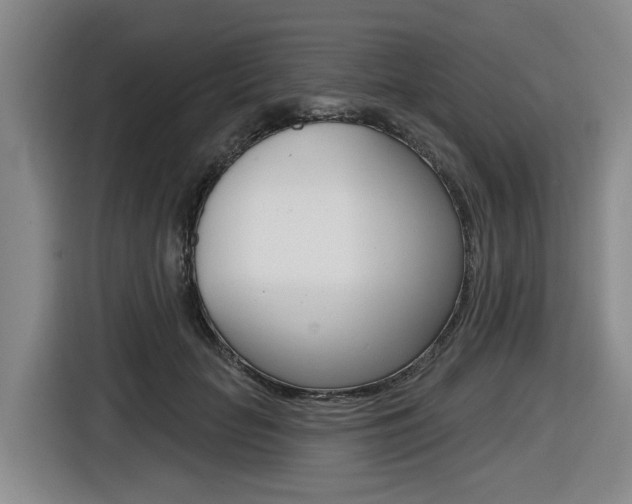 X0000116570653200912101004