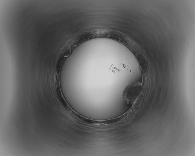 X0000116570654200912101004