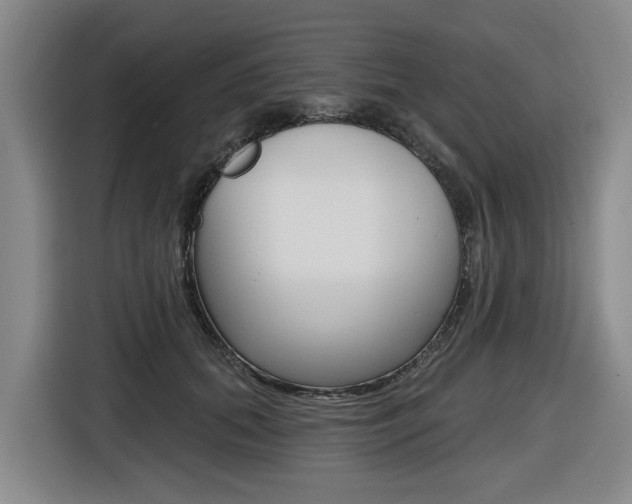 X0000116570655200912101004