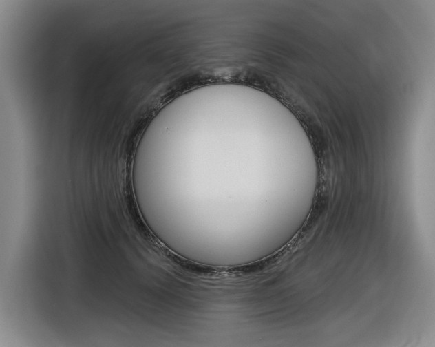 X0000116570656200912101004