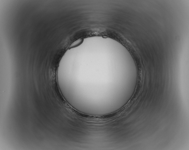 X0000116570657200912101004