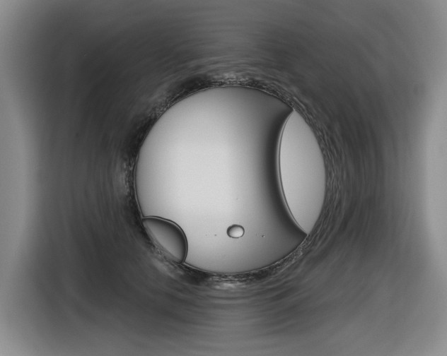 X0000116570658200912101004