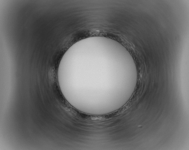 X0000116570659200912101004