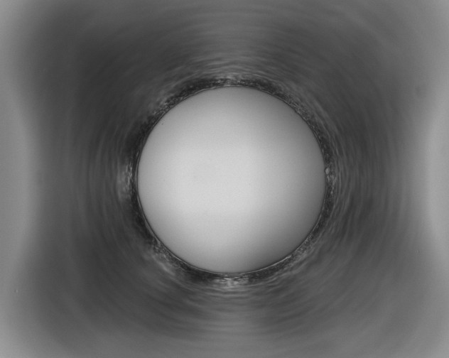 X0000116570660200912101004