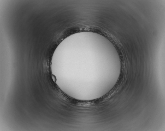 X0000116570661200912101004